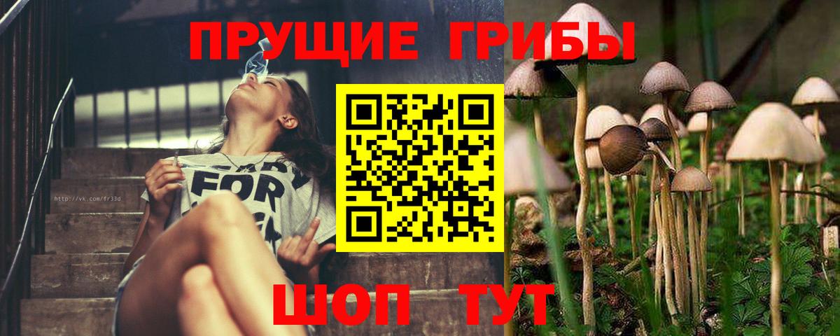 Галлюциногенные грибы Magic Shrooms Сибай